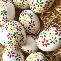 /album/fotogalerie-avadesign/product-img500w-36-jpg/